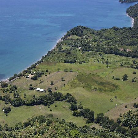 Hotel Punta De Aguila Necoclí المظهر الخارجي الصورة